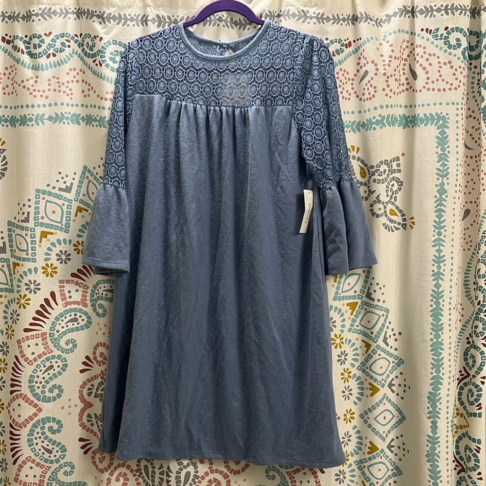 Francesca’s oxford blue mini dress